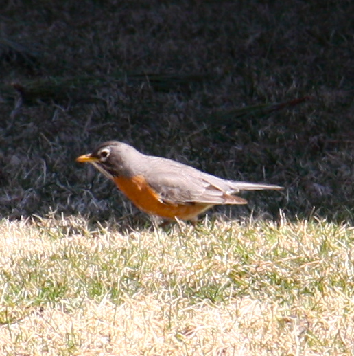 IMG_0033.jpg