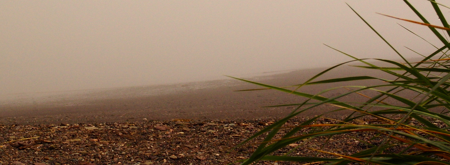 fundy 05 mist+wolfepipers 077