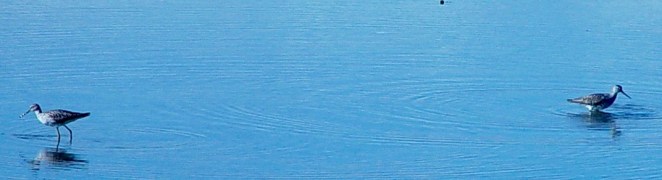 15 May 2002 Pre-Rimouski 277