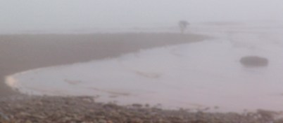 fundy 05 mist+wolfepipers 081