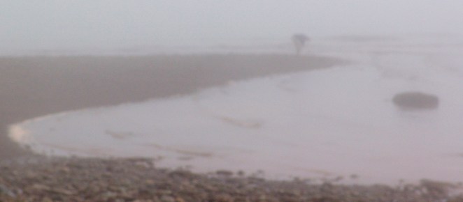 fundy 05 mist+wolfepipers 081.jpg