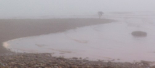 fundy-05-mistwolfepipers-081