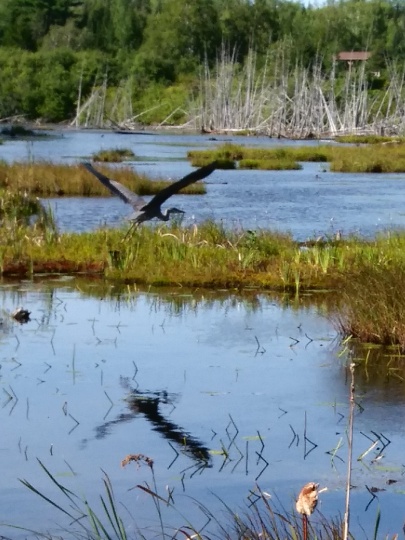 20180904_163015-1_resized