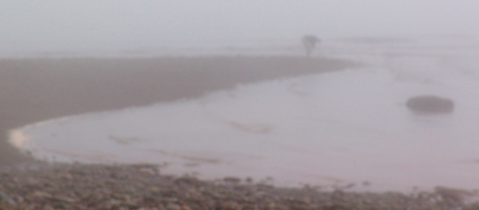 fundy 05 mist+wolfepipers 081