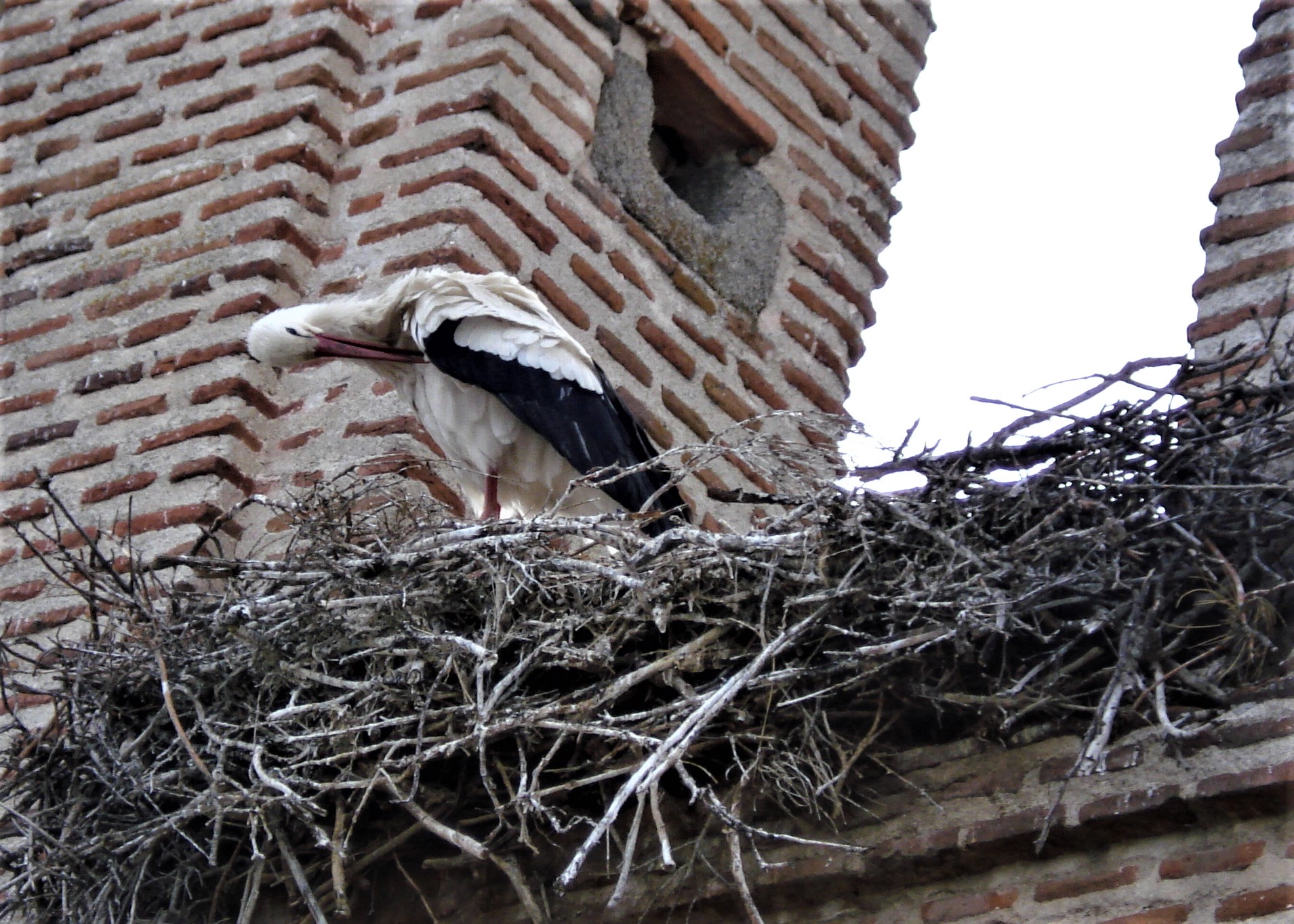 Avila 2007a 087 (2).jpg