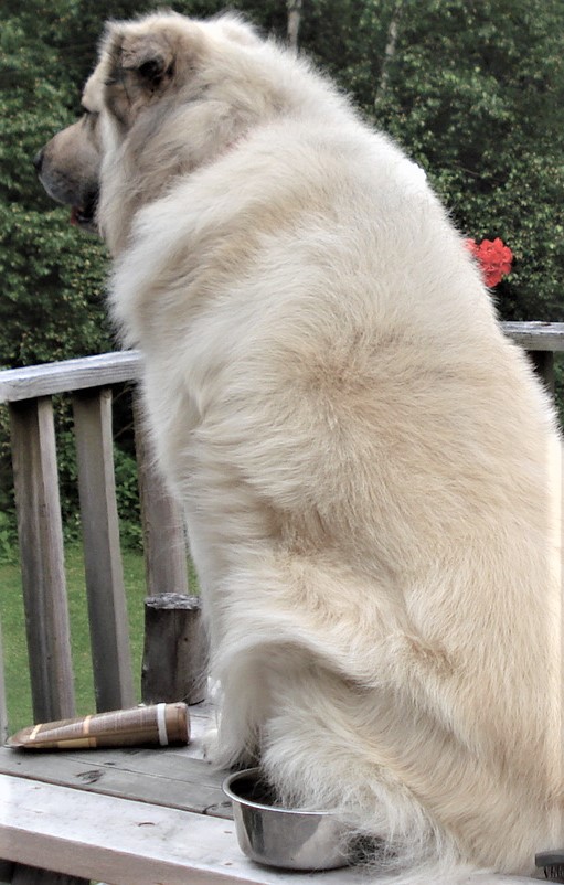 Avila 2008 381 (2).jpg